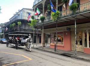 Why You Should NOLA in November Photo